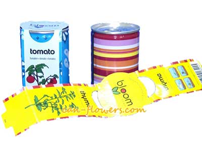 Promotional Tin Plants Packing